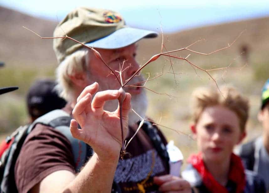 teacher with a beard holds up a small branch