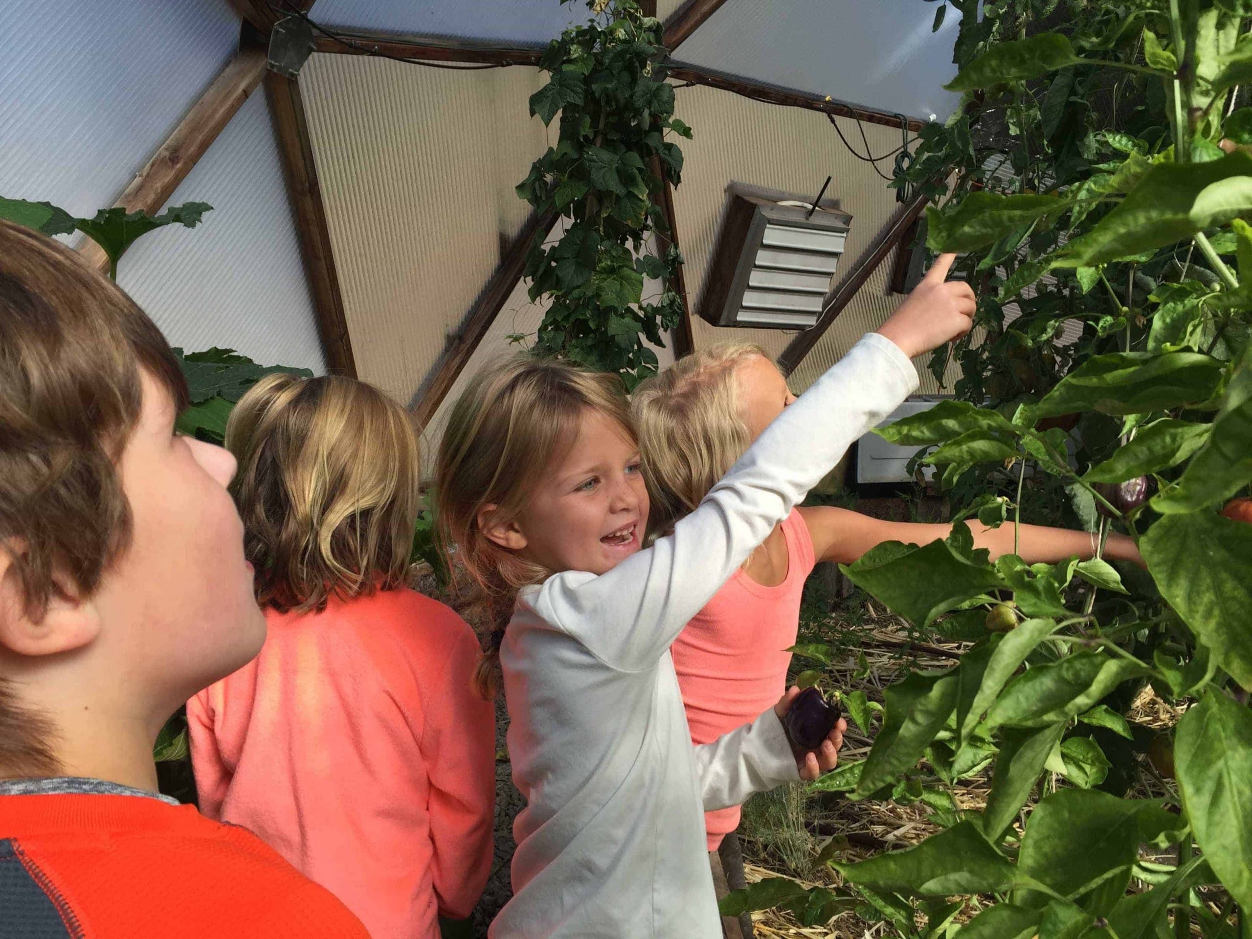 students at the Sierra Agroecology Center