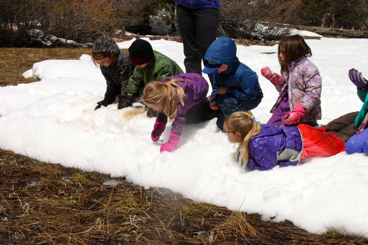 kindergarteners playing in snow