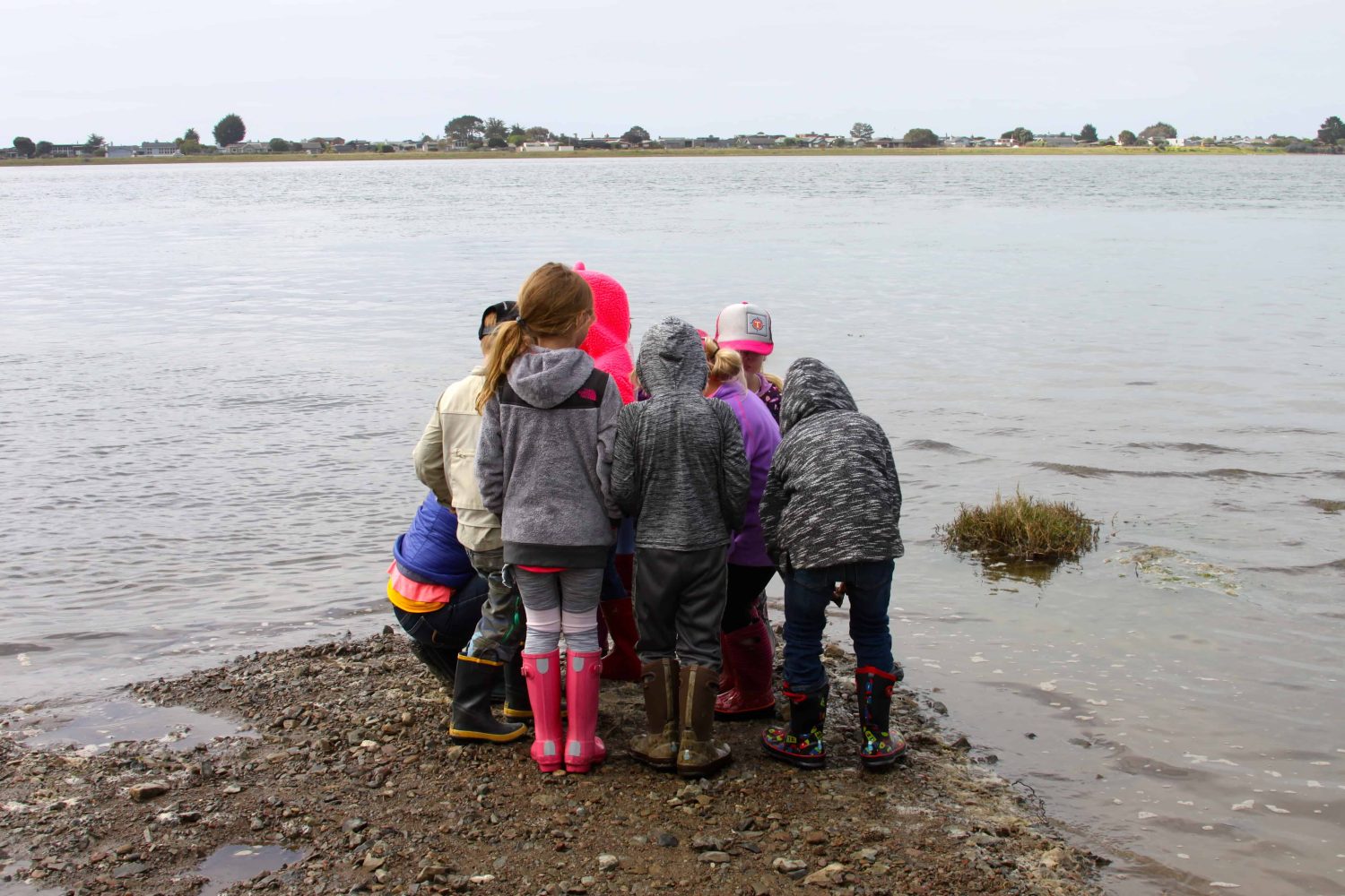 miss rosie with her class on the beach