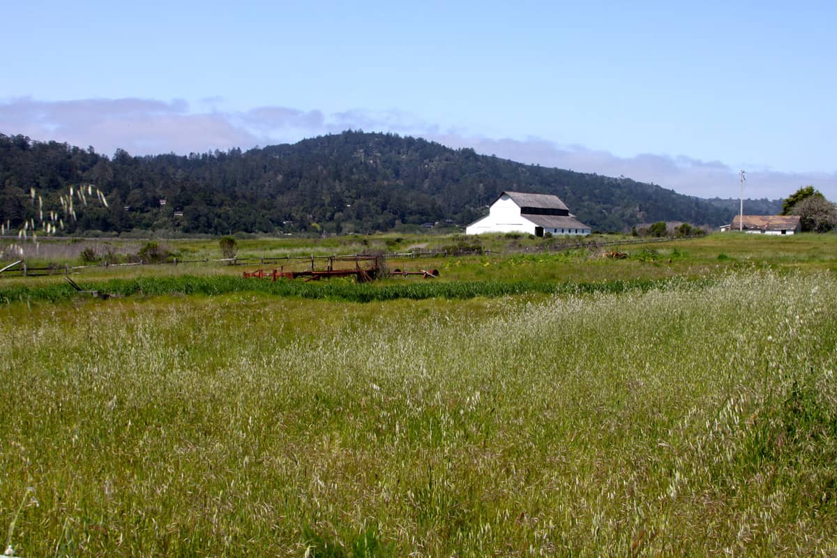 view of a field