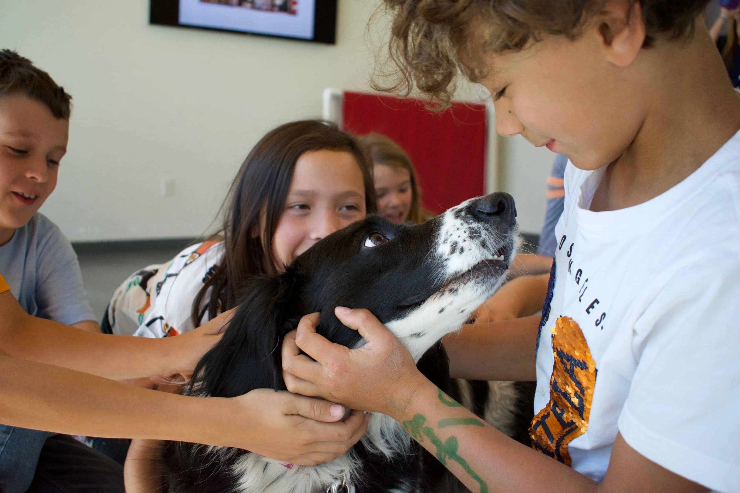 students petting a dog