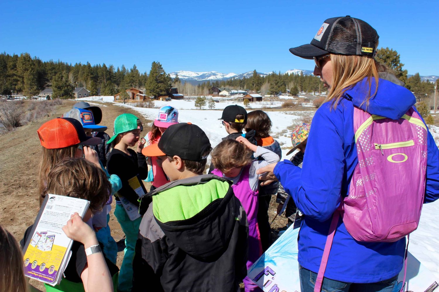 first graders studying local birds