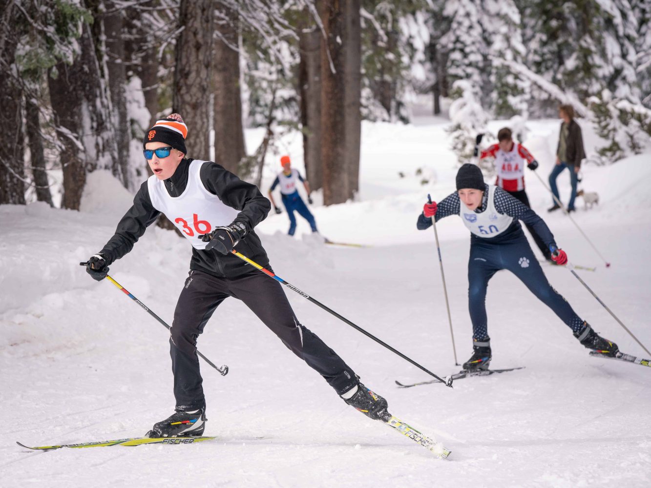 nordic race participants skiing down the track