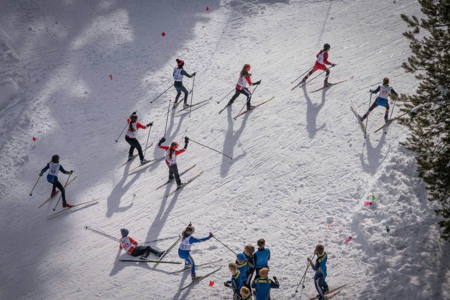 nordic race participants skiing down the track