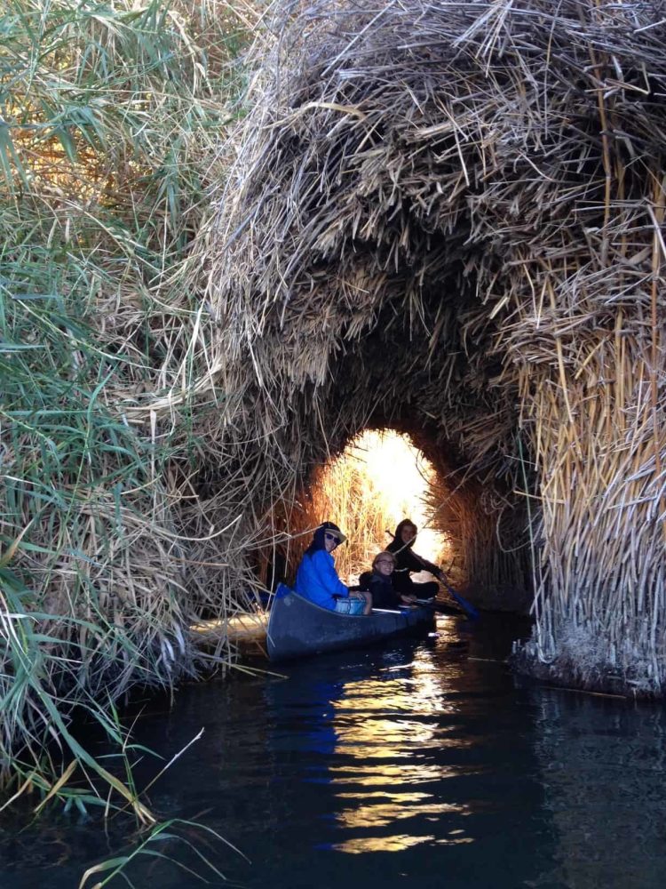 students boating down a river