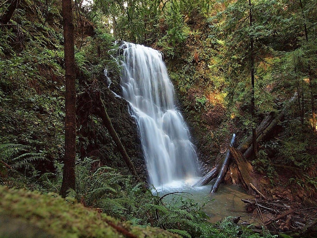 a waterfall in the Portola Redwoods State Park