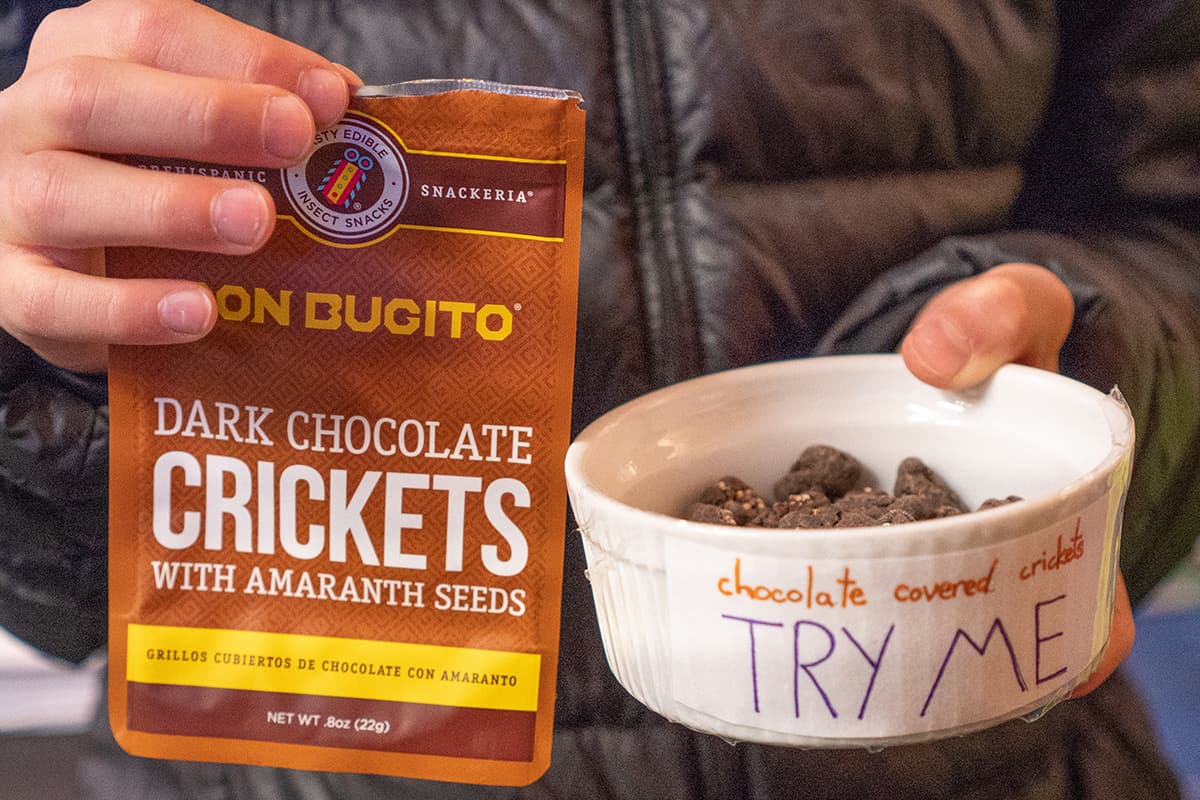 a man holding a bag of chocolate covered crickets