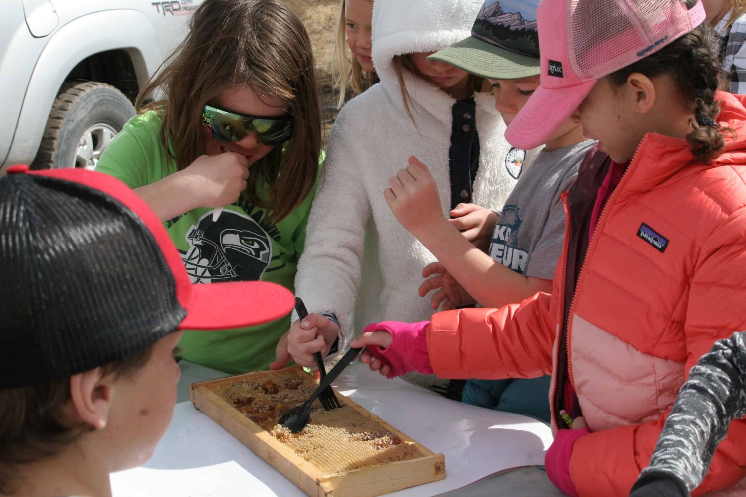 students examine a piece of honeycomb