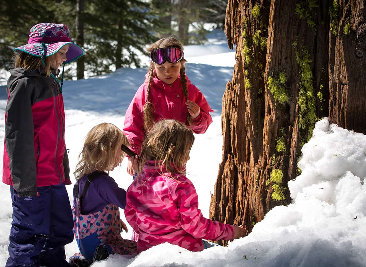 students in the snow gathered around a tree