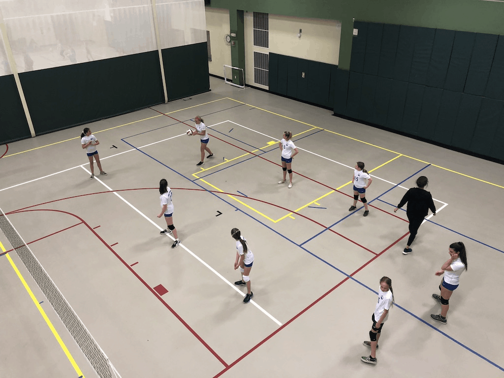 TEA volleyball team during a game