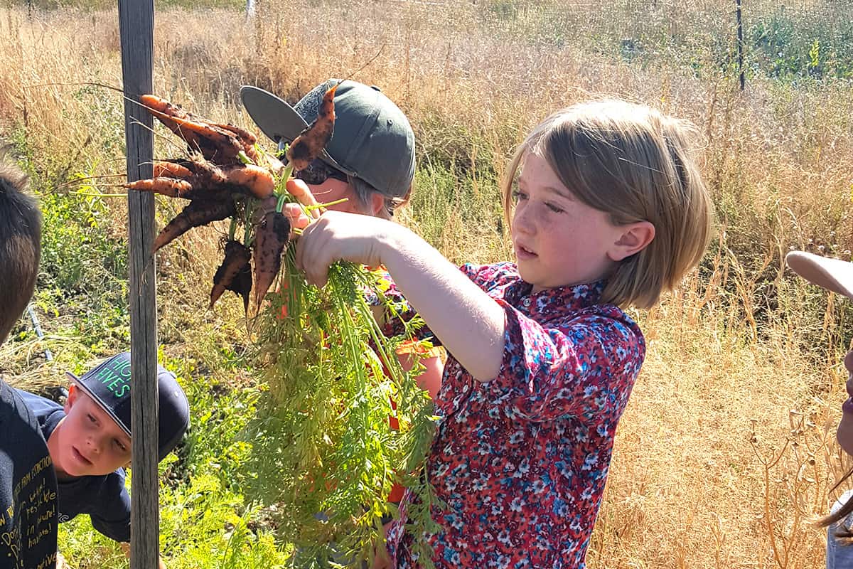 1st grade girl holding up carrots