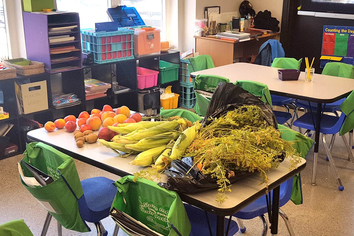 fresh vegetables laying on a desk