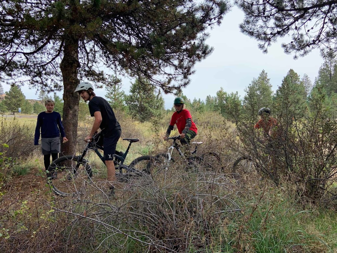 kids biking off-trail