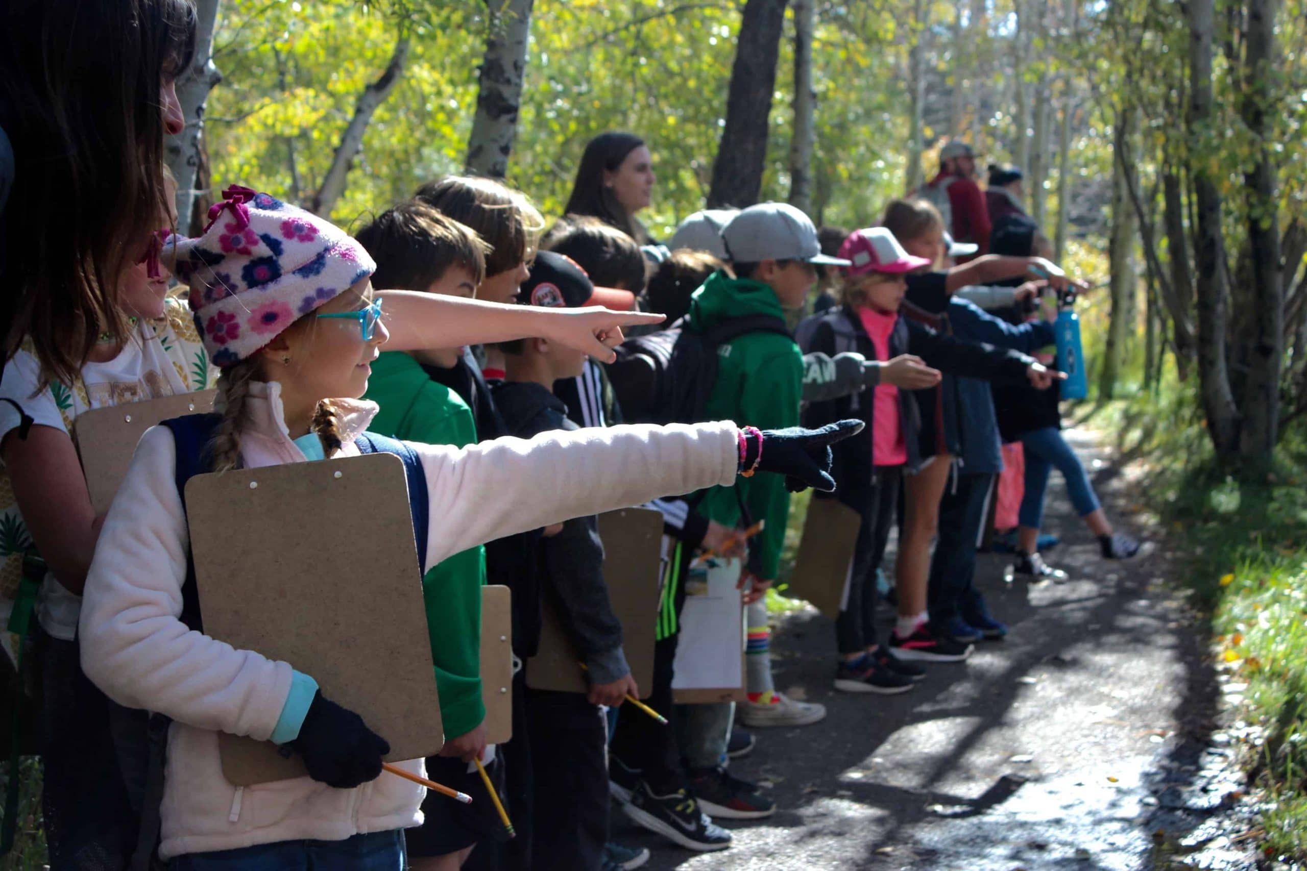 students lined up in the forest pointing