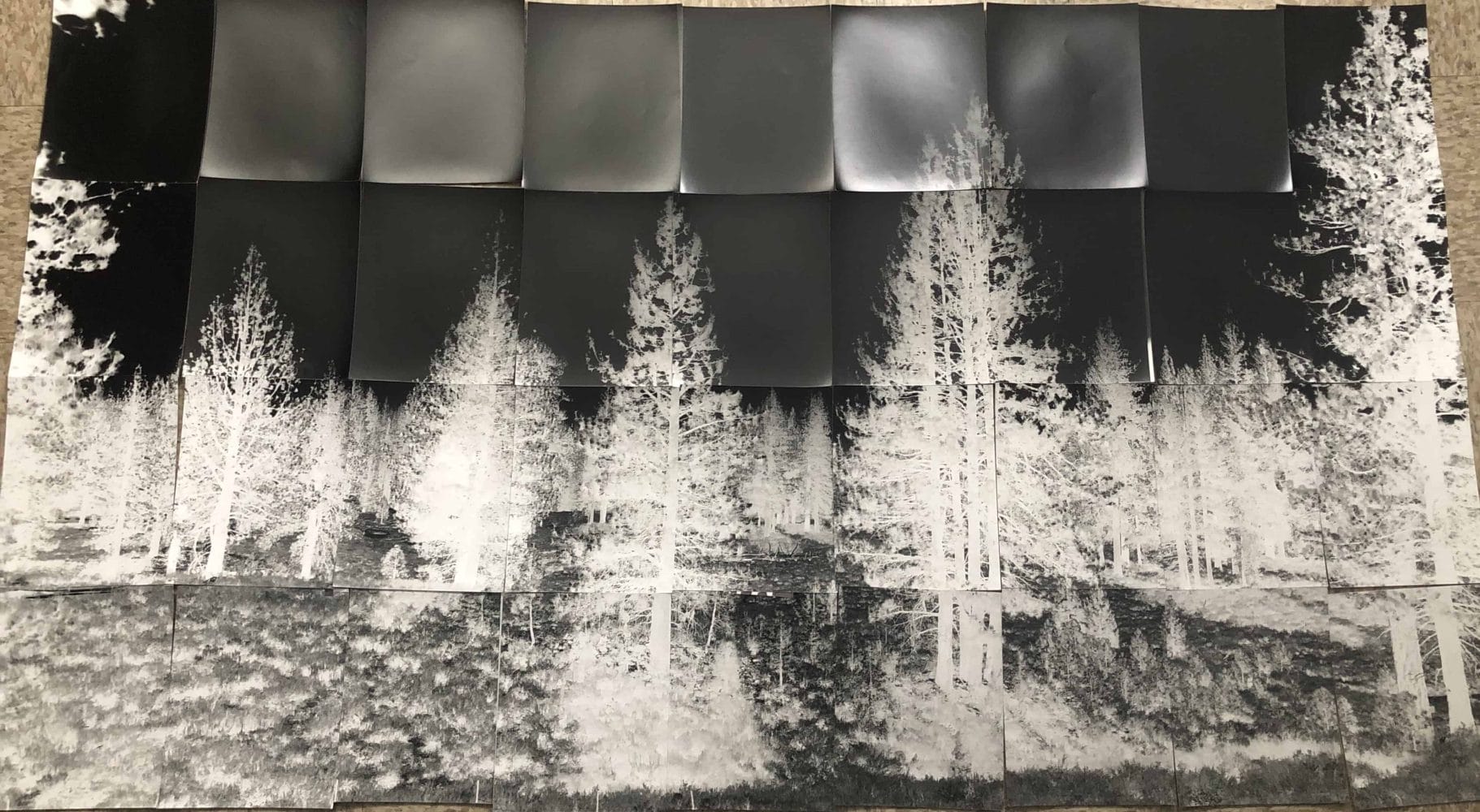 a view of the photo taken with the camera