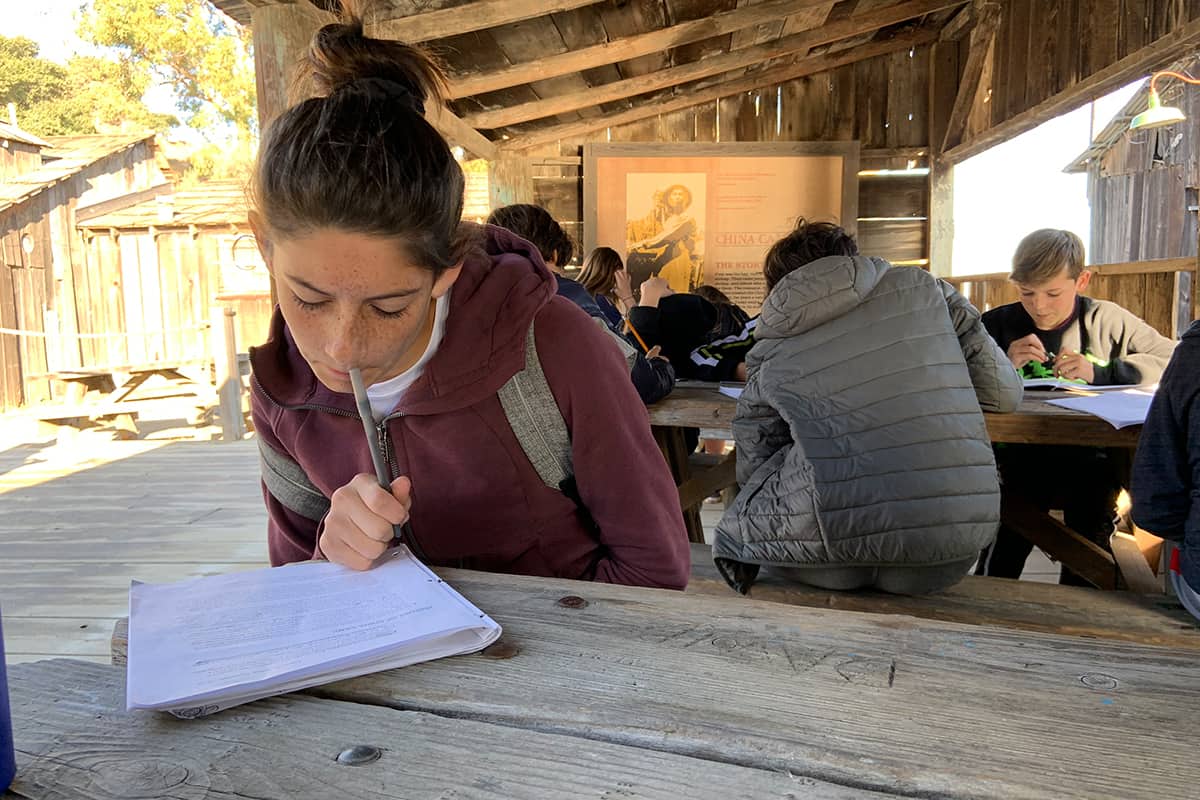A group of students studying outdoors
