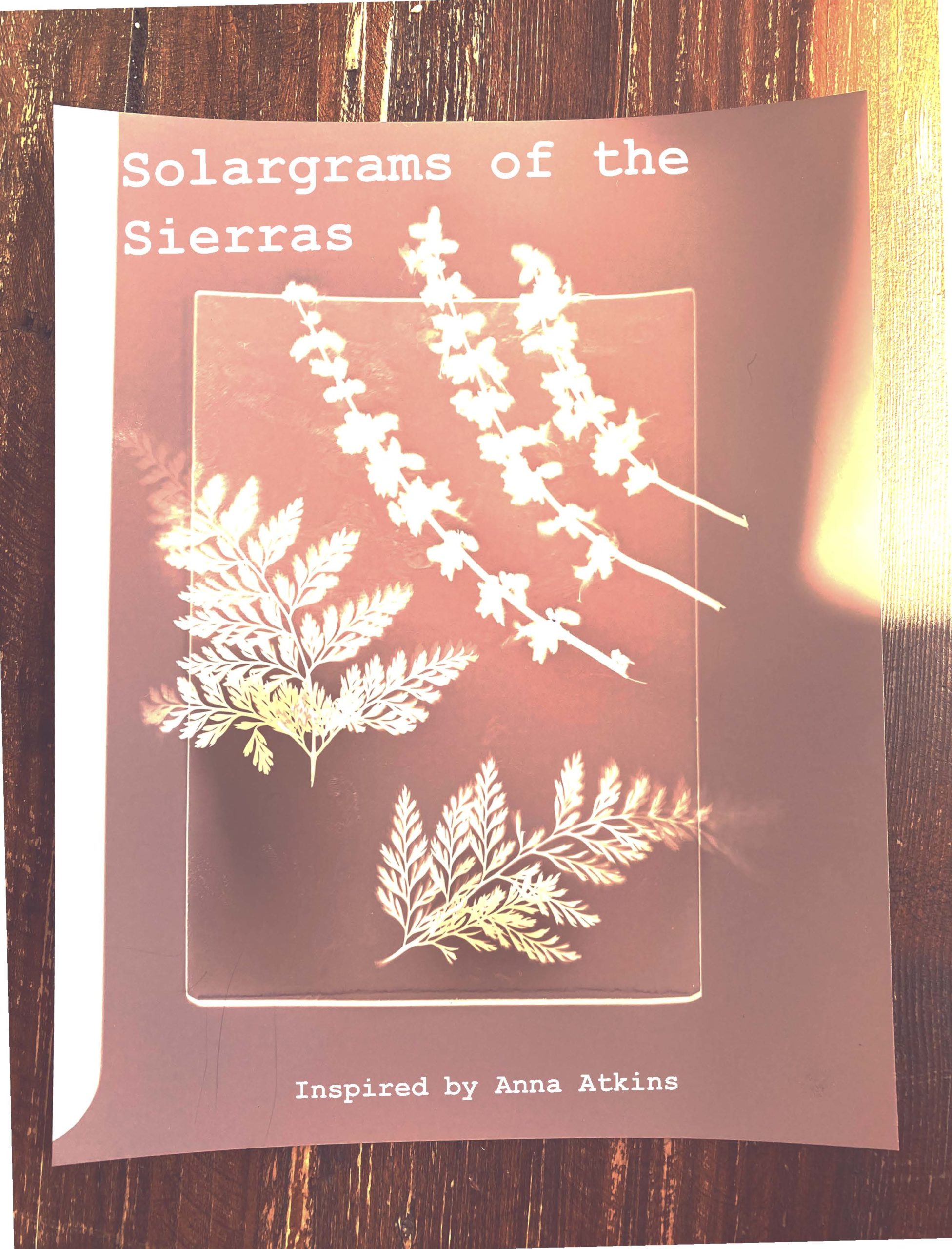 Solargrams of the Sierras, a book inspired by Anna Atkins